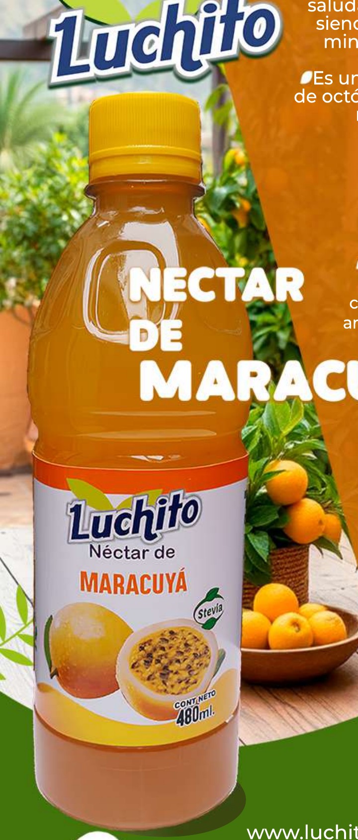 Botella de néctar de maracuyá Luchito de 480 ml